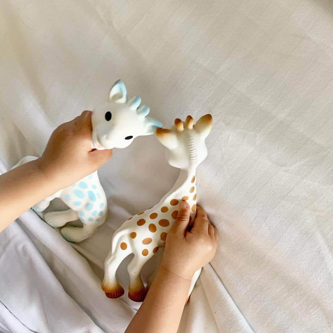 rinさんのインスタグラム写真 - (rinInstagram)「⋆ ⋆ おかえりソフィー🦒 ⋆ ブルーのソフィーは @glowplus が 息子にプレゼントしてくれた サイレントver.💙 静かな場所とかで大活躍‼︎ ⋆ 首を絞められて青ざめてる訳 ではない🤘 #窒素ソフィー 🆖 #サイレントソフィー 🆗 ⋆ ⋆  @sophielagirafe_japan @sophielagirafe_officielle ⋆ ⋆ #キリンのソフィー #ソフィー#息子#男の子#1歳2ヶ月#生後14ヶ月#ベビー#ママリ#ベビフル#ベビリトル #baby#babyboy#oneyearsold #sophielagirafe#girafe」4月21日 7時50分 - rinrin87