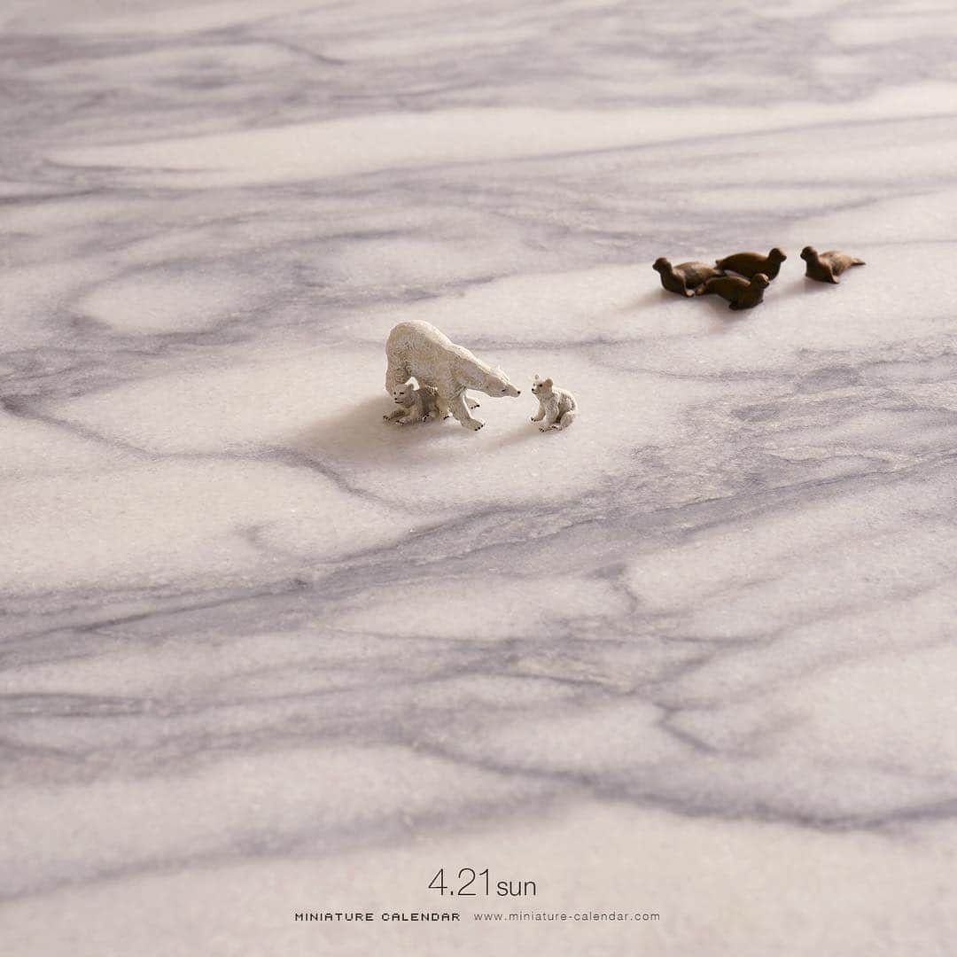 田中達也さんのインスタグラム写真 - (田中達也Instagram)「. 4.21 sun “Marble Ice” . ここはいつでもひんやり冷たい . #大理石 #北極 #氷 #Marble #Arctic #NorthPole #Ice . ─────────────── 《EXHIBITION info》 . 【センス・オブ・スケール展】 Sense of Scale Exhibition 4/13 sat - 6/23 sun  #センスオブスケール展 #横須賀美術館 . ─────────────── 《Next EXHIBITION info》 . 【ミニチュアライフ展 in 岡山】 Miniature Life Exhibition in Okayama 4/24 wed - 5/6 mon ［ギャラリートーク&サイン会］ 4月24日 1回目 10:00〜、2回目14:00〜 4月29日 1回目 13:00〜、2回目16:00〜 . 【ミニチュアライフ展 in 静岡】 Miniature Life Exhibition in Shizuoka 4/27 sat - 5/12 sun . #MiniatureLife展 #ミニチュアライフ展 Please look at the Instagram story’s highlight for more information. .」4月21日 8時55分 - tanaka_tatsuya