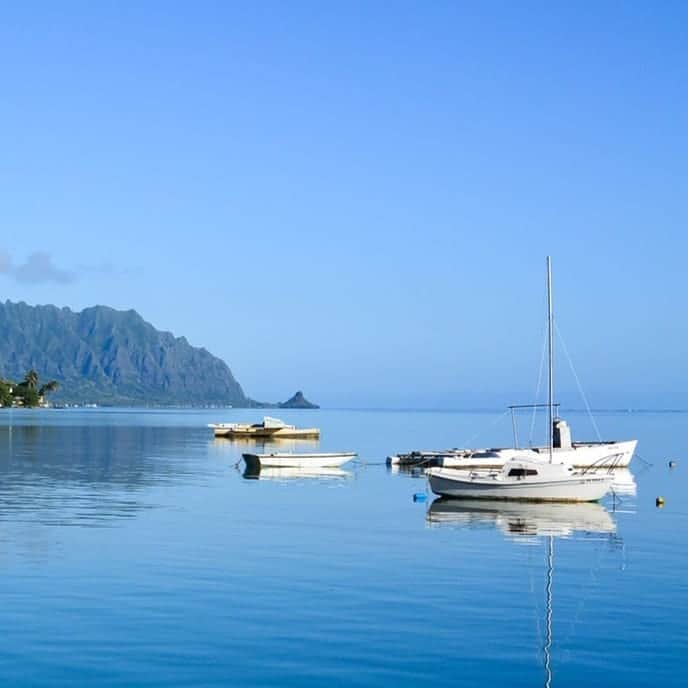 Luxury Cruise by Captain Bruceさんのインスタグラム写真 - (Luxury Cruise by Captain BruceInstagram)「鏡のような海⁣  天国の海®ツアーがスタートする、カネオヘのボートハーバー。ここからしばらく船で沖に出ると、突然目に鮮やかなエメラルドグリーンが広がります🔷⁣ ⁣ 　#captainbruce #sandbar #kaneohe #hawaii #oahu #oahulife #ahuolaka #heeiakeapier #harbor #キャプテンブルース #天国の海 #アフオラカ #ハワイ大好き #絶景 #港 #水鏡」4月21日 9時04分 - cptbruce_hi