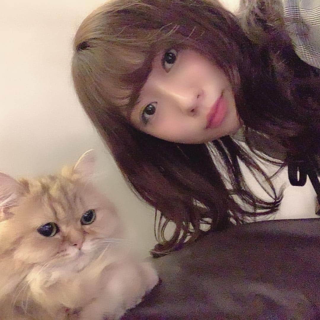 大貫彩香さんのインスタグラム写真 - (大貫彩香Instagram)「初の猫カフェ☕️❤︎ 幸せだった⋆︎*」4月21日 9時00分 - sayaka_oonuki