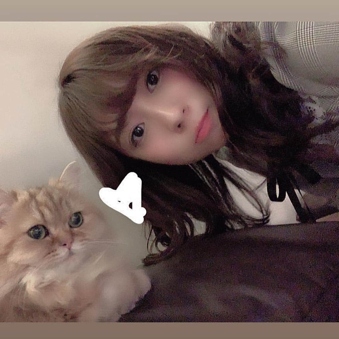 大貫彩香さんのインスタグラム写真 - (大貫彩香Instagram)「初の猫カフェ☕️❤︎ 幸せだった⋆︎*」4月21日 9時00分 - sayaka_oonuki
