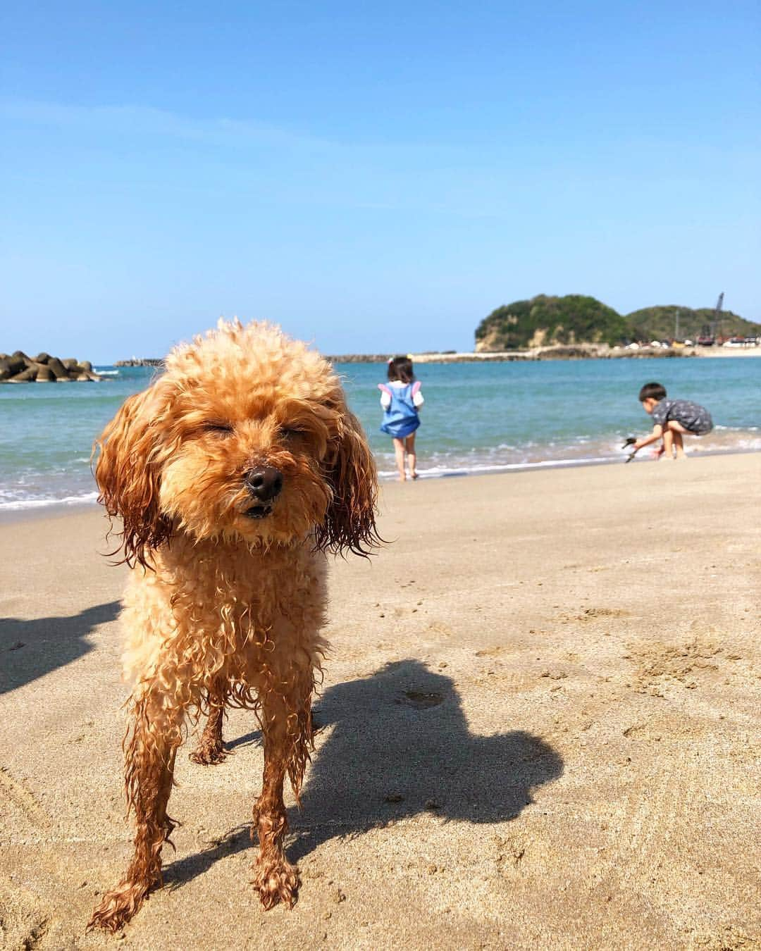 近藤夏子のインスタグラム