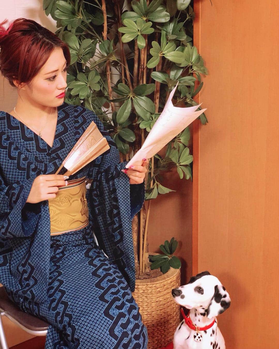 五月千和加さんのインスタグラム写真 - (五月千和加Instagram)「. 稽古場にも慣れてきたメロディ🐶 門下生の稽古の時は別部屋でジッと待っているお利口さん。 彼女がそばにいると 場が和む🧸💕 . #melody #dog #dogslife #dalmatian  #girl #kimono #yukata #japan #tokyo #japanese #japanesedance #dancer #dance #lesson #studio #稽古場 #お稽古 #日本舞踊 #日本舞踊家 #メロディ #ダルメシアン #犬 #犬のいる暮らし #犬のいる生活 #仔犬 #puppy #cleverdog #adorable #101匹わんちゃん #101dalmatians」4月21日 20時01分 - satsuki_senwaka