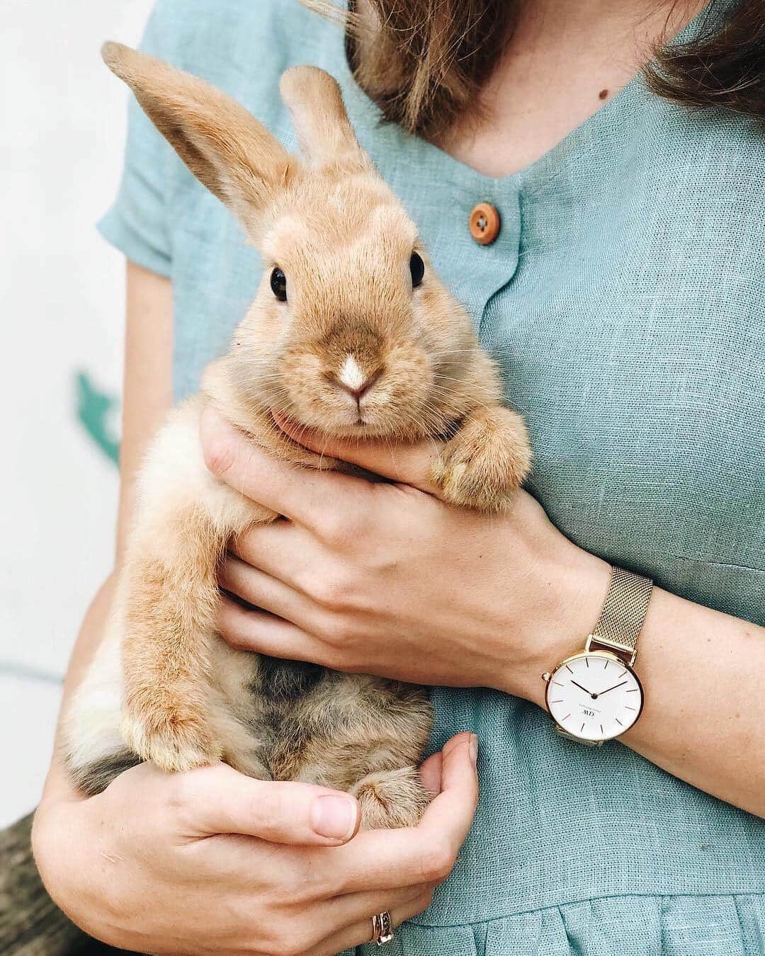 ダニエルウェリントンさんのインスタグラム写真 - (ダニエルウェリントンInstagram)「Congratulations to @mrs_dush on being our #DWPickoftheDay! Make sure that you tag your photos with #DanielWellington for a chance to get featured, and visit danielwellington.com to find your favorites and local stores.」4月21日 18時53分 - danielwellington