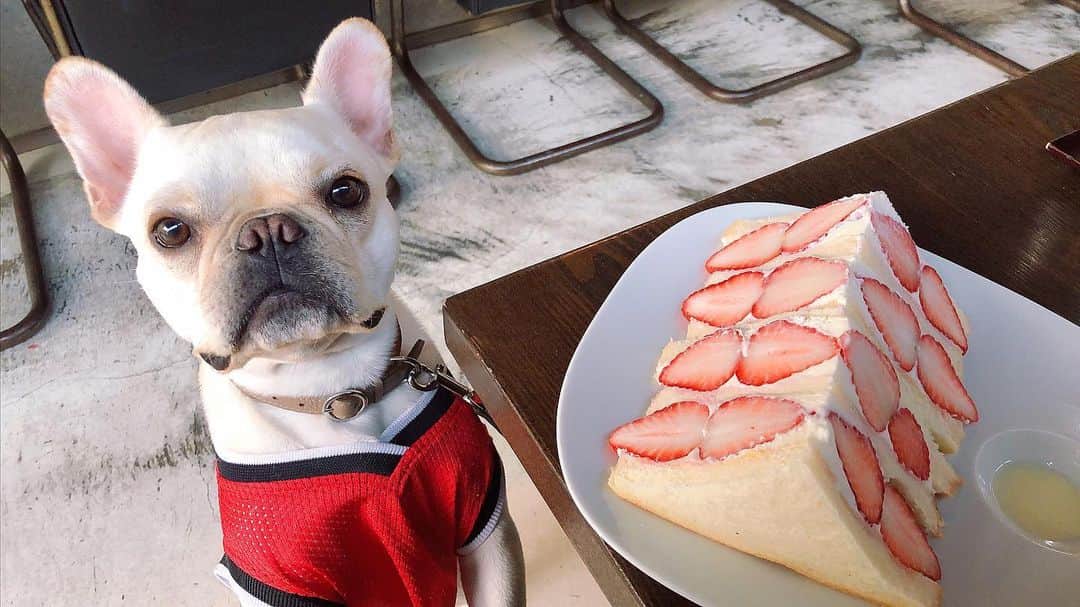 沢辺りおんのグルメインスタ