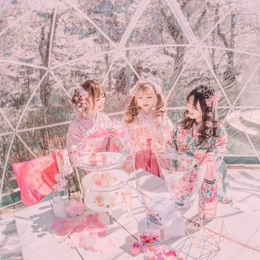 さきぼんさんのインスタグラム写真 - (さきぼんInstagram)「ミッドタウンのCHANDONアフタヌーンティー🌸桜に囲まれたドームの中でのアフタヌーンティーかわいかった( ⸝⸝ • ̫ • ⸝⸝ )💓 . めめちゃん(@memeichigo )の写真すごいなぁ、、 . . . #アフタヌーンティー #afternoontea  #浅草さわだ屋 #sawadaya #さわだ屋 #浅草レンタル着物  #桜 #cherryblossom #お花見 #sakura #さくら #花見 #春 #さわだ屋袴  #サクラ #桜祭り  #インスタ映え  #インスタ映え #ポトレ女子 #ポートレートいちご #タビジョ #flowers #🌸 #被写体 #六本木 #ミッドタウン六本木 #さきぼんスプリング🌸 #さきぼん着物」4月21日 18時59分 - sakibon69