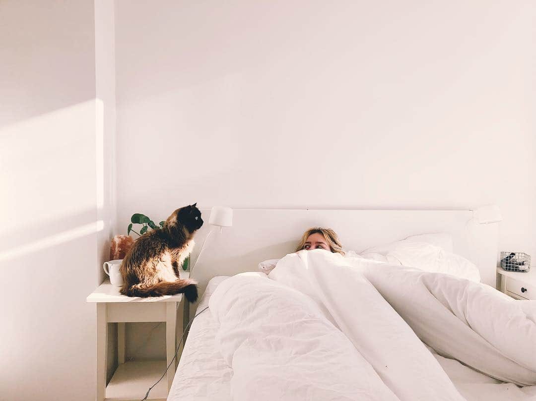 ELLE Polandさんのインスタグラム写真 - (ELLE PolandInstagram)「Nasz plan na resztę świąt 🐏 #easter #bedroom #cat #cozy #hygge」4月21日 19時24分 - ellepolska
