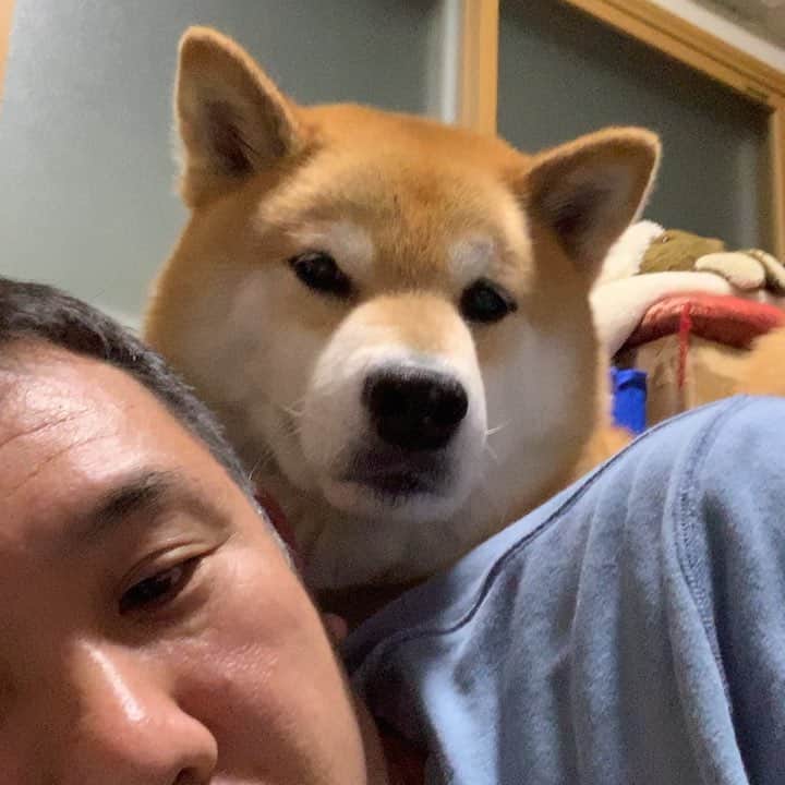 まる（まるたろう）のインスタグラム