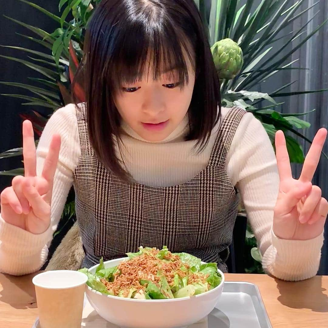 森七菜さんのインスタグラム写真 - (森七菜Instagram)「サラダランチ🥗 #実は野菜好き #パリパリ多め #もりなな #森七菜」4月21日 19時54分 - morinana_official