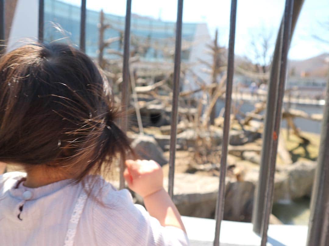 紺野あさ美のグルメインスタ