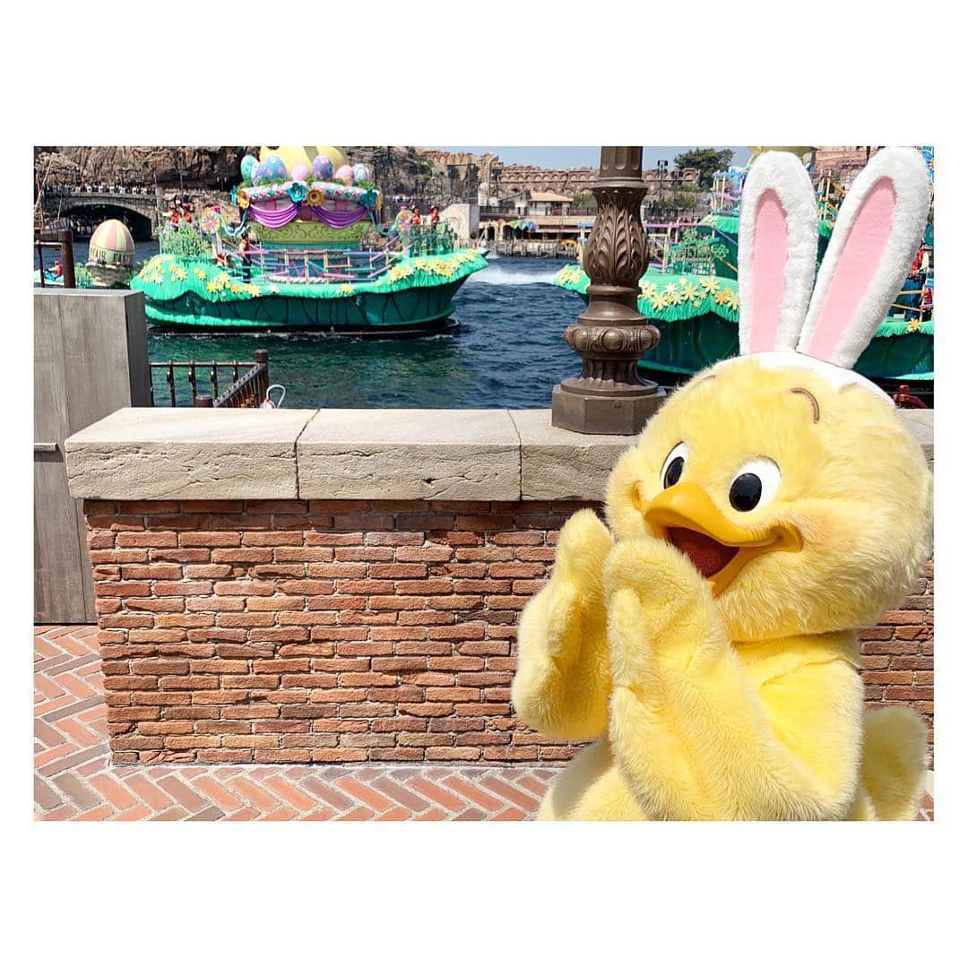 小菅晴香さんのインスタグラム写真 - (小菅晴香Instagram)「・﻿ Disney seaのHappy Easter🥚🌼﻿ ﻿ お目当ての今年初登場「うさぴよ」に﻿ 会いに行ってきました🐰🐣💗﻿ ﻿ 想像以上に可愛くてめろめろ💕﻿ ﻿ 黄色くて丸くて可愛いところは﻿ そらジローと同じですね🤣笑﻿ ﻿ 明日からの一週間もOha!4ぜひ﻿ お付き合いください🎶﻿ ﻿ ﻿ ﻿ ﻿ ﻿ ﻿ ﻿ #tokyodisneysea #disneysea #tokyodisneyresort #ディズニーシー #happyeaster2019 #うさぴよ #usapiyo #小菅晴香 #フリーアナウンサー #セントフォース」4月21日 11時22分 - haruka.kosuge