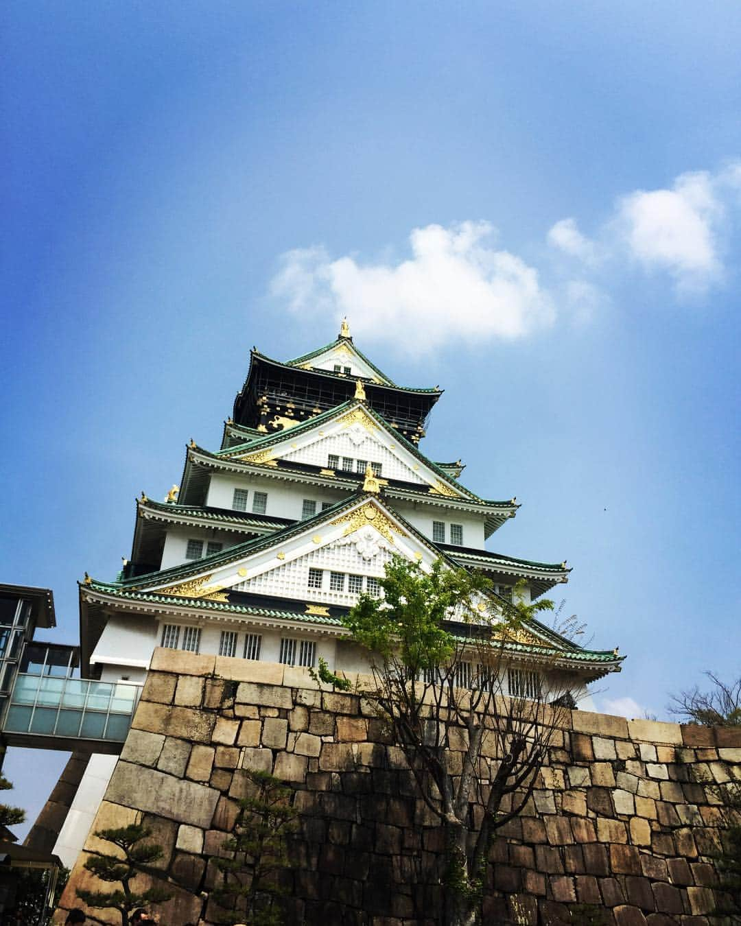 橋本塁さんのインスタグラム写真 - (橋本塁Instagram)「大阪城ランニング終了！ゆっくり4km。 20度以上あってもはや初夏！ #サウシュー #stingrun #大阪城ランニング #ランニング #ruの#adidas #大阪 #9mmフリーライブ #東西フリーライブ」4月21日 11時51分 - ruihashimoto