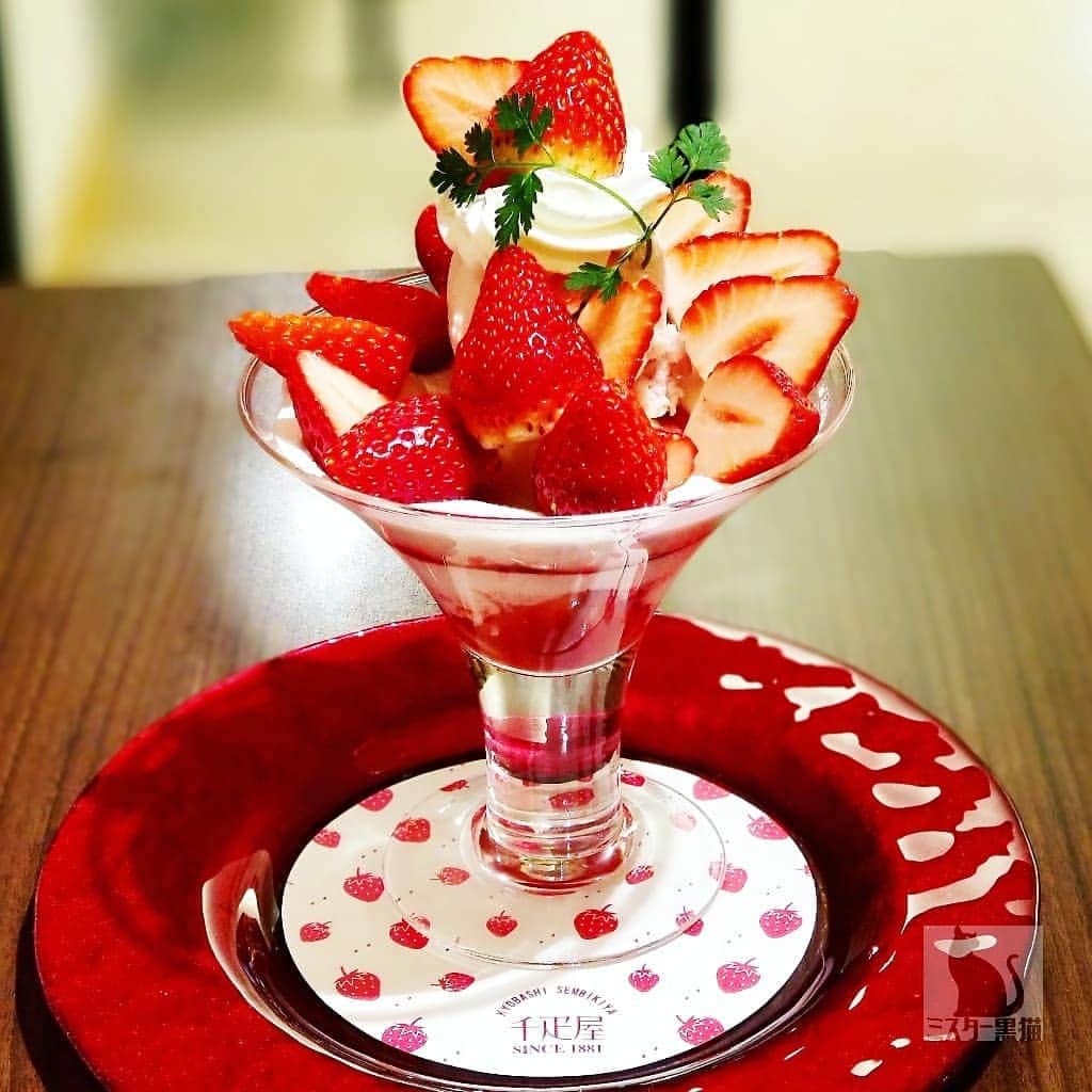 ミスター黒猫（黒猫仙人）のグルメインスタ