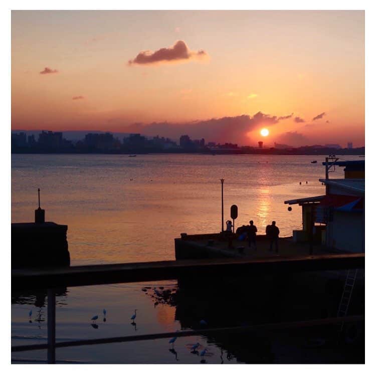 太田葉子さんのインスタグラム写真 - (太田葉子Instagram)「弾丸台湾旅行DAY2 パート2﻿﻿﻿ ﻿﻿﻿﻿ 今回の旅のメインのひとつ﻿﻿﻿ #淡水 でぼんやりと夕日を見る！🌆﻿﻿﻿ ﻿﻿﻿﻿ ﻿﻿﻿﻿ 1〜3.﻿﻿ ﻿  どうせならゆっくり座って夕日を見たい﻿﻿ と思い評判の良いスポットを検索。﻿﻿ ﻿  30分くらい歩いて#AneaCafe という﻿﻿ ﻿  カフェへ！テラス席がちょうど空いてたので﻿﻿ ﻿ (しかもソファ席！)まさに思い描いていた﻿﻿ ﻿  とおりになった！！😂✨✨✨﻿﻿ 日頃の慌ただしさを忘れ、﻿﻿ ひたすら夕日を﻿  拝む究極のリラックス時間😌🌆﻿﻿﻿ ﻿﻿﻿ 4〜7.﻿﻿ ﻿  晴れの日の淡水は本当に綺麗だった✨﻿﻿ ﻿  一応、雨の場合のプランも考えていたが﻿﻿ ﻿  行けて良かった！🐠﻿﻿﻿ ﻿﻿﻿﻿ 8〜9.﻿﻿ ﻿  評判のBRUCEさんのマッサージへ🦶✨﻿﻿ ﻿  これも今回の旅のメインのひとつ！﻿﻿ ﻿  たまたま1枠空いていたので予約できた！✨﻿﻿ ﻿  極楽全身マッサージ&骨盤スッキリコース﻿﻿ ﻿  75分 1800元。(日本円で、6500円くらい)﻿﻿ ﻿  身体が軽くなり、すごい元気になったー！﻿ ﻿ ﻿ BRUCEさん日本語ペラペラなので安心！😆﻿﻿ #BRUCE足部健康館 #BRUCEマッサージ﻿﻿ ﻿﻿﻿ ﻿﻿﻿ ちなみに、マッサージの前後1時間は﻿﻿﻿ 飲み食いしない方がいいらしい。﻿﻿ ﻿﻿ 淡水から戻ってくるのに﻿﻿ 意外と時間が﻿かかってしまい﻿﻿ ﻿﻿ 18時超えたら食べないルールと﻿﻿ マッサージ後食べれないルールとで﻿﻿ まさかの飢餓状態で2日目終了😂﻿﻿﻿ ﻿でもマッサージのおかげ？で爆睡快眠！﻿﻿ ﻿﻿ ﻿﻿ DAY3(最終日)▷▷﻿﻿ ﻿﻿﻿ #よっこのひとり旅in台湾 ﻿﻿﻿﻿ #よっこのひとり旅﻿﻿﻿﻿ #ひとりっぷ #海外一人旅﻿﻿﻿﻿ #女子一人旅 ﻿﻿﻿﻿ #台湾 #台北 #台湾一人旅 ﻿﻿ ﻿﻿ #夕日 #台湾一人旅 ﻿ ﻿﻿ #旅行好きな人と繋がりたい﻿﻿ #写真好きな人と繋がりたい﻿﻿ #taiwancafe ﻿﻿﻿ #弾丸旅行 ﻿﻿﻿﻿ #trip #travel ﻿﻿﻿﻿ #travelersnotebook ﻿﻿﻿﻿ #travellover #solotravel ﻿﻿﻿﻿ #l4l #l4like #Taipei #Taiwon」4月21日 12時07分 - instayoko