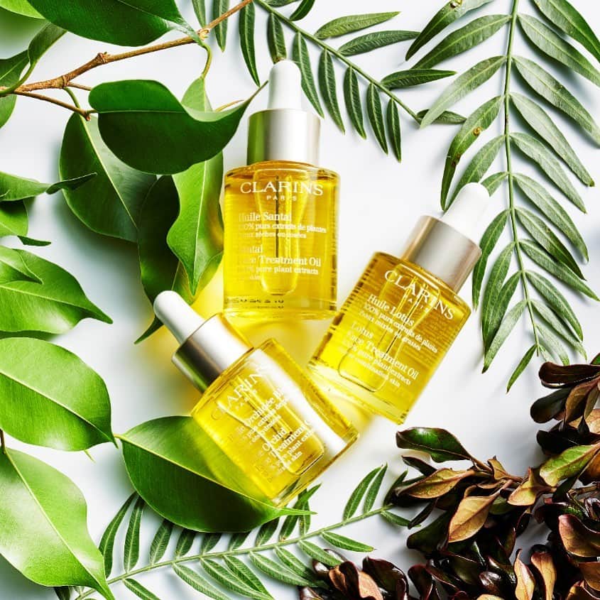 Clarins Australiaさんのインスタグラム写真 - (Clarins AustraliaInstagram)「Spotted: our three face oils in their natural habitat. 🍃 Blue Orchid Face Treatment Oil tones and restores radiance 🍃 Lotus Face Treatment Oil rebalances and tightens pores 🍃 Santal Face Treatment Oil soothes and comforts dehydrated skin #ClarinsAus #ClarinsSkincare」4月21日 12時20分 - clarinsanz