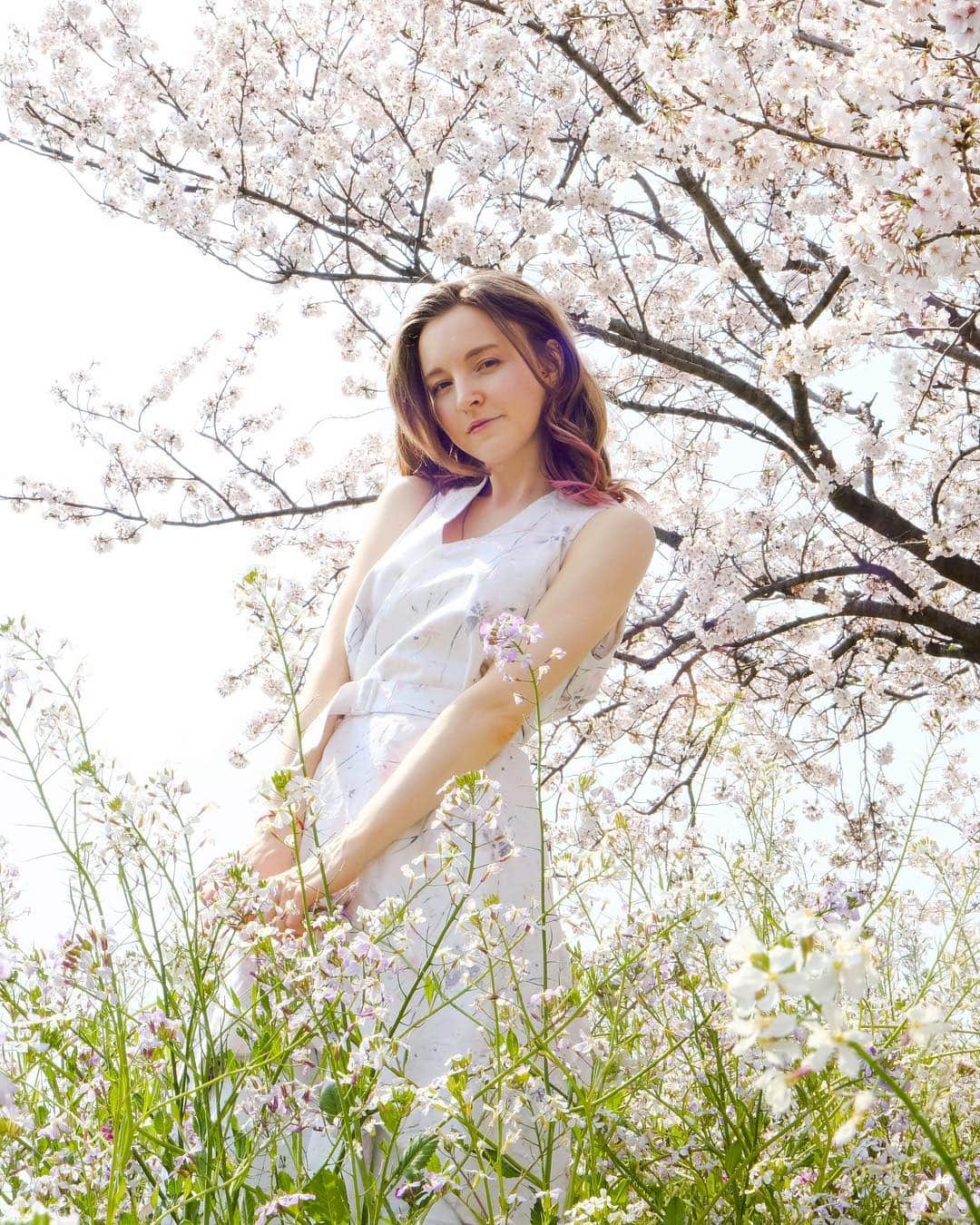 のインスタグラム：「今年桜との写真いっぱい撮ってもらったけどあまり出してない😂 Dress: @tenbo_official Camera: @yukkua ....... #桜 #さくら #portrait #japan #tokyo #sakura #spring #shooting #model #modeling #春 #ドレス #撮影 #モデル」