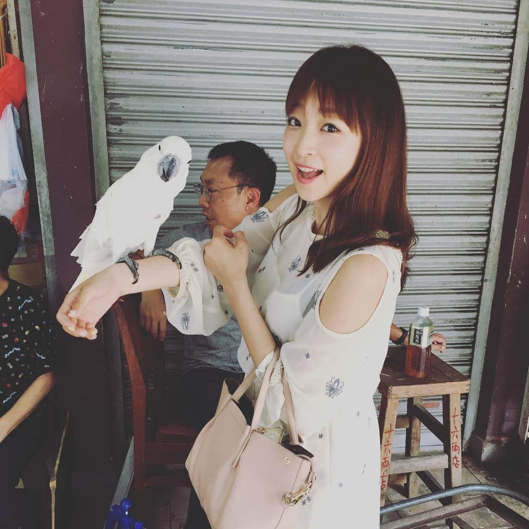 くぼたみかのインスタグラム：「As a bird frantic Bird Street is one of my favorite place in Hong Kong ❤️🐦 budgies, parrots and all kinds of cutest birds are there! 香港のバードストリートは鳥好きとしてはかなりのホットスポット😍毎回行きます🥰鳩に餌あげたら狂気の沙汰に😂 #birds #鳥 #広東語を喋る九官鳥 #birdstreet #香港 #HongKong #yuenpostreetbirdgarden」