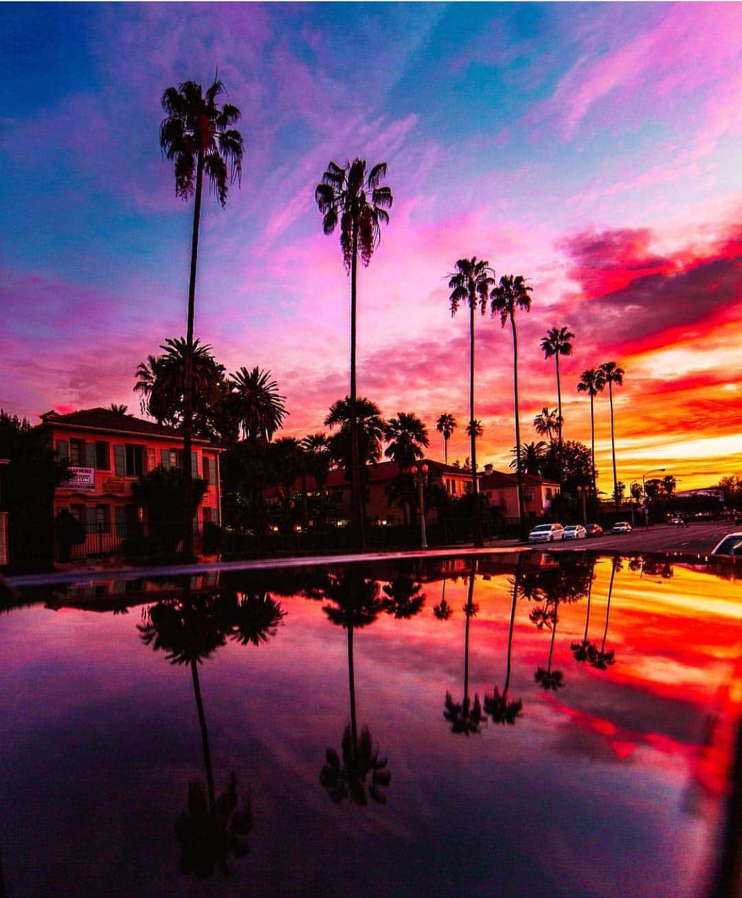 scottlippsさんのインスタグラム写真 - (scottlippsInstagram)「Nothing like LA skies, summers coming and California is beautiful 📷 @paolo.fortades #sunsets #vibes #la #cali」4月21日 12時43分 - scottlipps