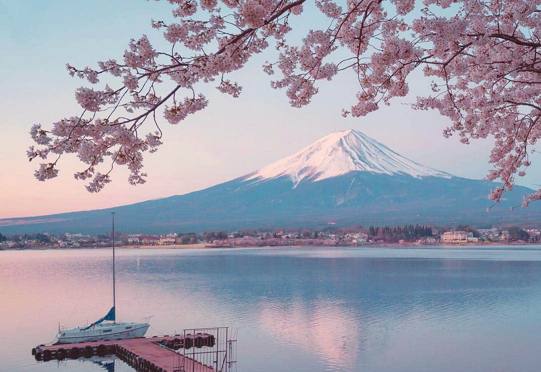 masayaさんのインスタグラム写真 - (masayaInstagram)「Lake Kawaguchi 河口湖 #cherryblossoms #桜 #fuji #mtfuji #さくら #富士山」4月21日 12時49分 - moonlightice