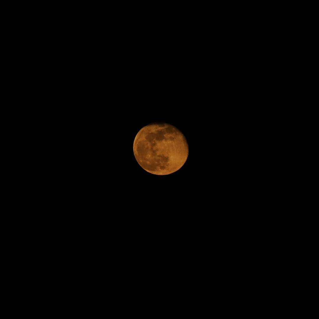 Rozinaさんのインスタグラム写真 - (RozinaInstagram)「first photo is from the egg moon last night, second is from later when the moon was higher #lunarphotography #eggmoon #pinkmoon #eastereve #astrophotography」4月21日 13時01分 - rozinataguchi