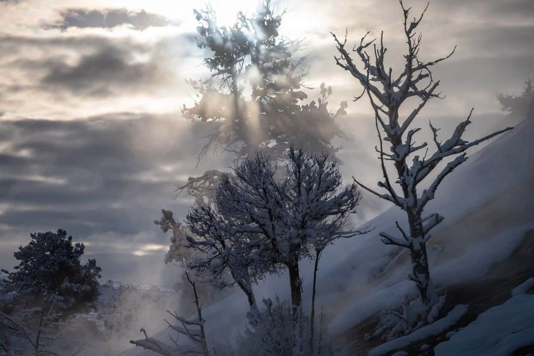 National Geographic Travelさんのインスタグラム写真 - (National Geographic TravelInstagram)「Photo by @michaelclarkphoto | Sunlight streaming through dense water vapor at Mammoth Hot Springs in Yellowstone National Park on a snowy winter day in Wyoming. #mammothhotsprings #yellowstone」4月21日 13時03分 - natgeotravel