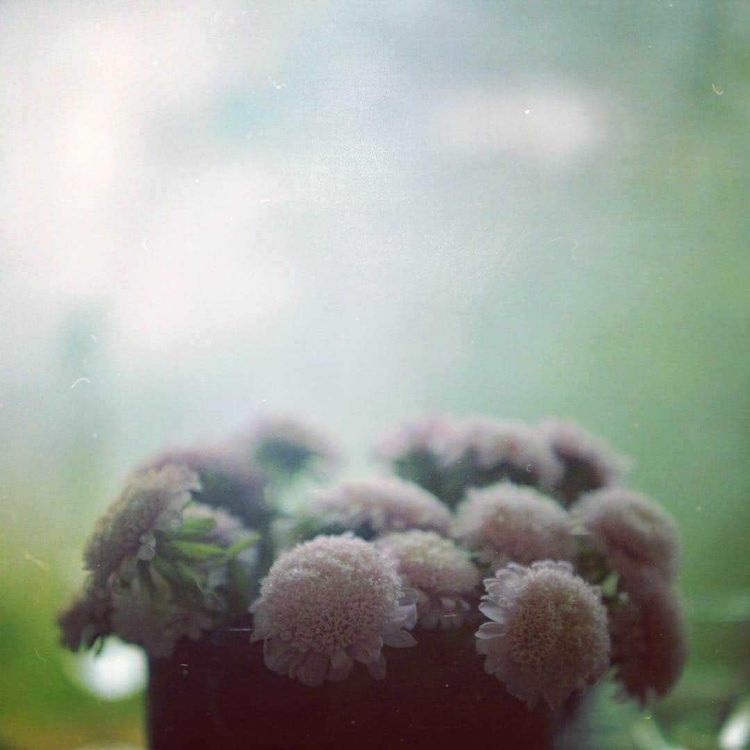 tetrrineのグルメインスタ