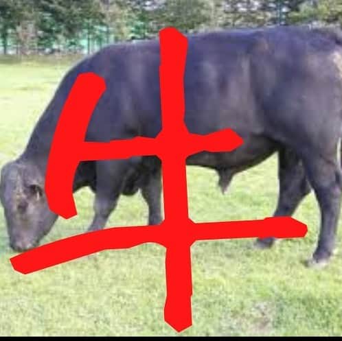 かるび家 梅田店のグルメインスタ