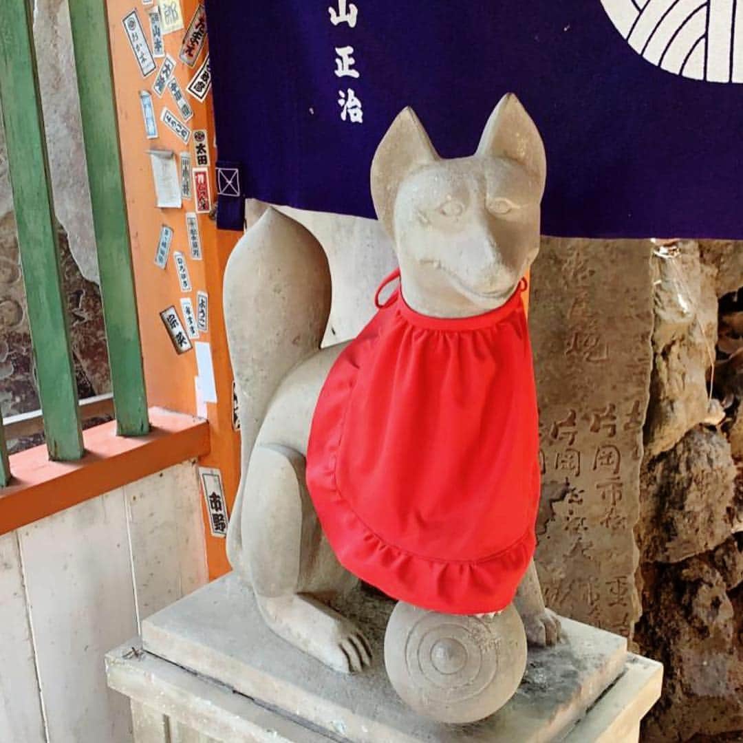 ALINA AKULAさんのインスタグラム写真 - (ALINA AKULAInstagram)「Единственный белый и позитивный пёс, которого встретила на территории храмов) можете убедиться в этом в nezu jinja shrine 🐕 . . #храм #няшка #japan #japanholiday #photo_jpn  #japan #japanawaits #thisisjapan #madeinjapan #instajapan #ig_japan #ig_jp #ilovejapan #explorejapan #travelblogger #travel #happytraveler #собака #друг #люблюсобак #dogoftheday #парк #другчеловека #люблюживотных #dog #путешествие #отдых #отличныйдень #подписка  #отличноенастроение」4月21日 13時36分 - radharanievna