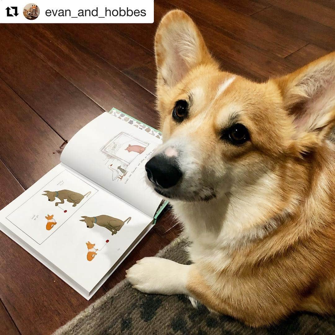 リズ・クライモさんのインスタグラム写真 - (リズ・クライモInstagram)「When you really identify with the main character 📚 repost @evan_and_hobbes」4月21日 13時47分 - lizclimo