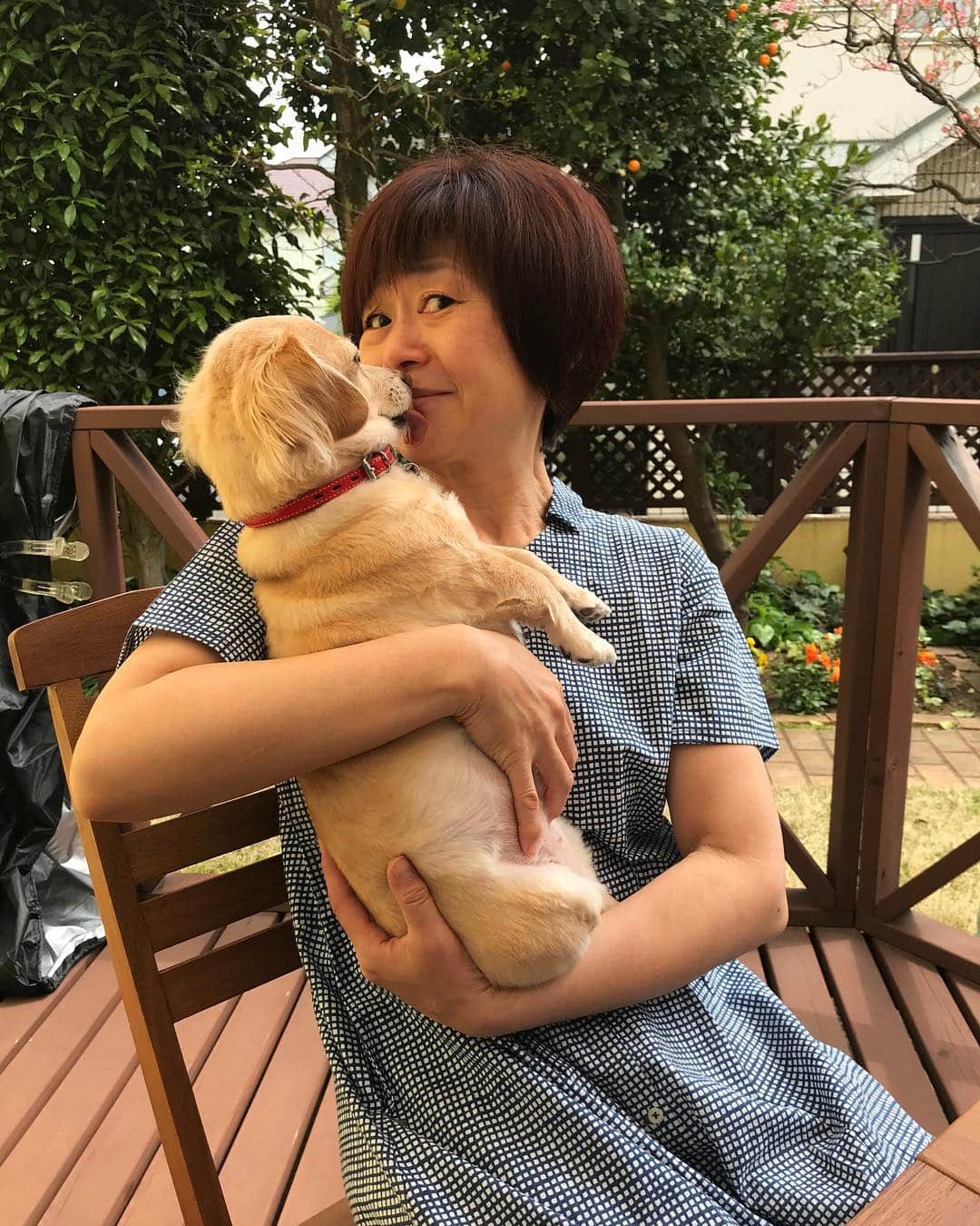 神野美伽さんのインスタグラム写真 - (神野美伽Instagram)「Have  a  わんderful  day ‼️ #犬」4月21日 14時05分 - mika_shinno_japan