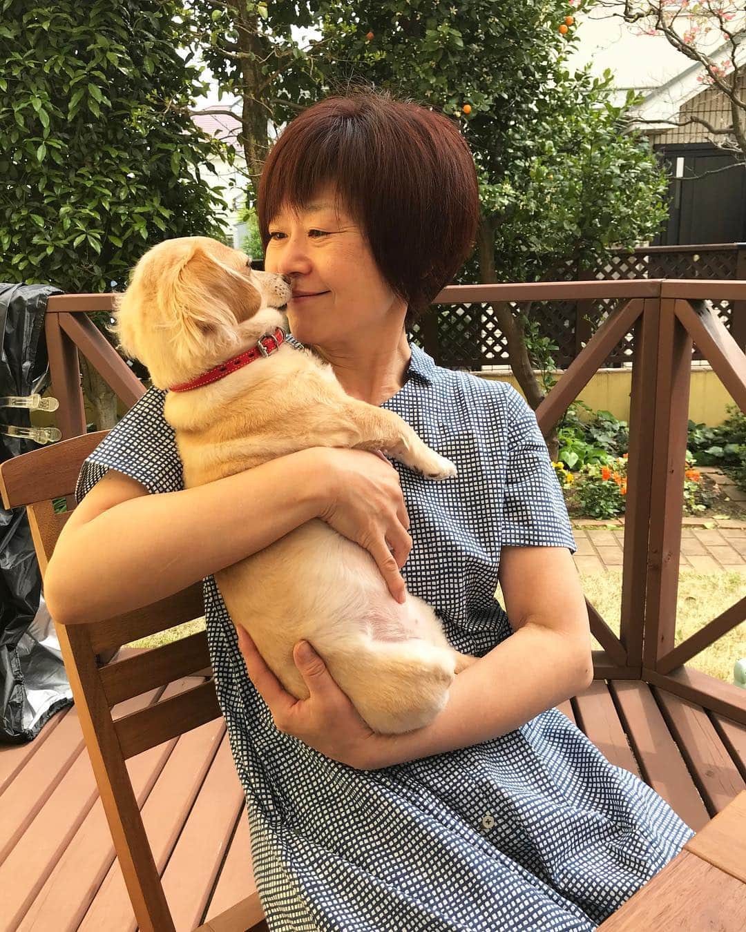 神野美伽さんのインスタグラム写真 - (神野美伽Instagram)「Have  a  わんderful  day ‼️ #犬」4月21日 14時05分 - mika_shinno_japan