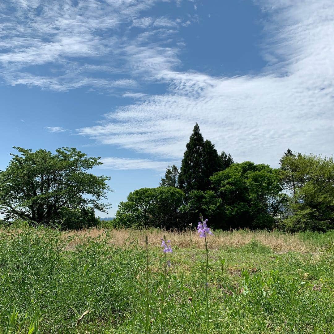 クリス智子さんのインスタグラム写真 - (クリス智子Instagram)「宮崎は、初夏のような、青と緑。」4月21日 14時06分 - chris_tomoko