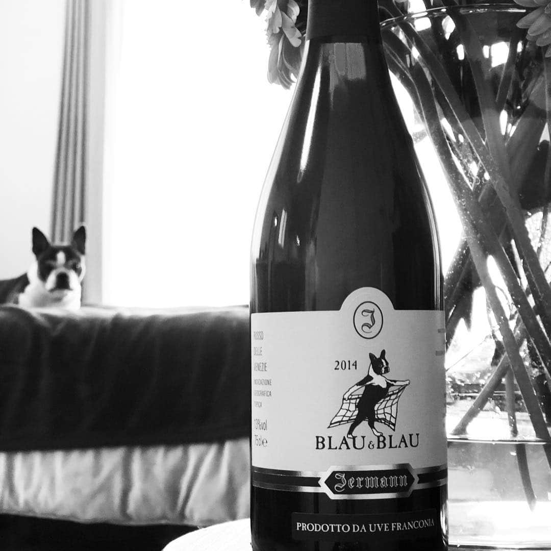 dorlisさんのインスタグラム写真 - (dorlisInstagram)「ジャケ買い #dorlis #bostonterrier #ボストンテリア #wine #赤ワイン #doris #白ワイン #ラベル可愛い #blau&blau」4月21日 14時11分 - dorlis0223