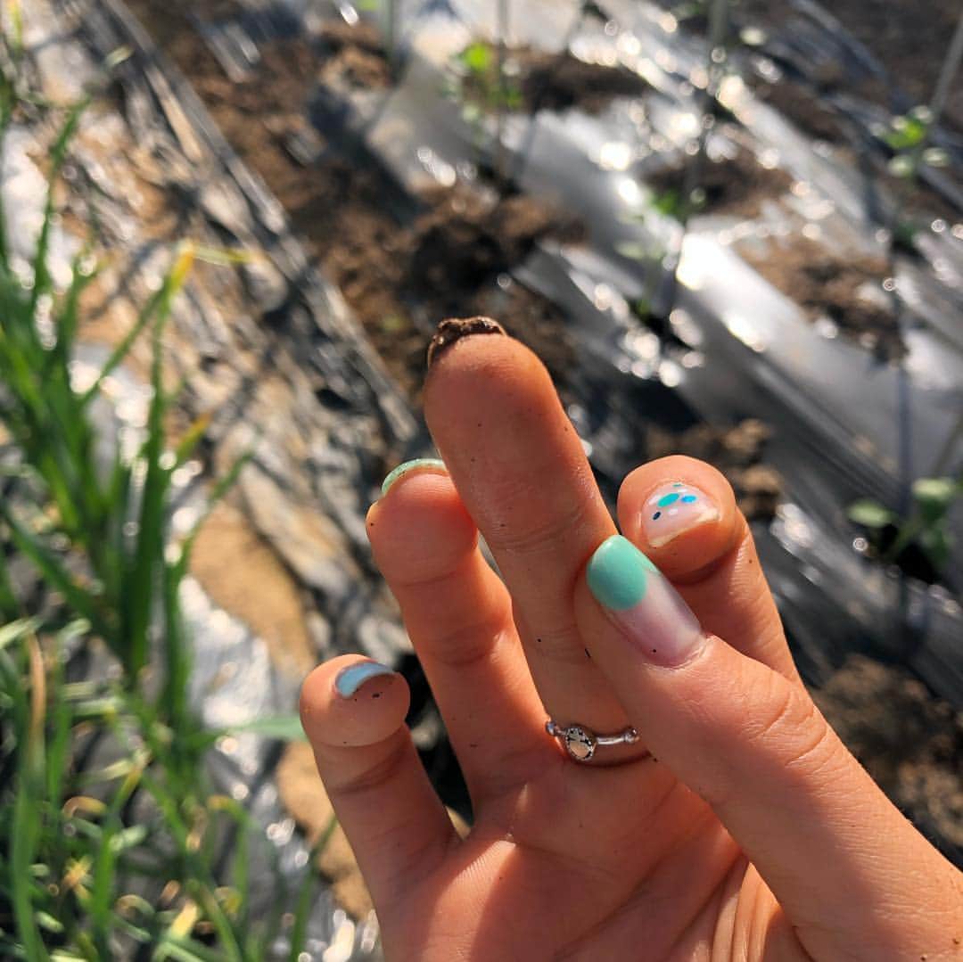 アン・ジヒョンさんのインスタグラム写真 - (アン・ジヒョンInstagram)「요새엄마가맛있는걸많이사주신다 이래서 노비에게 고봉밥을먹었나  #농노다이어리1 #👩‍🌾 #세미귀농#세미농부생활 #쇼핑은동네철물점 #인맥관리는동네노인정 #20190420고추모종끝」4月21日 14時13分 - a_iorly