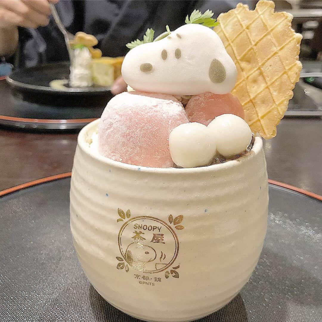 SUCLEのグルメインスタ