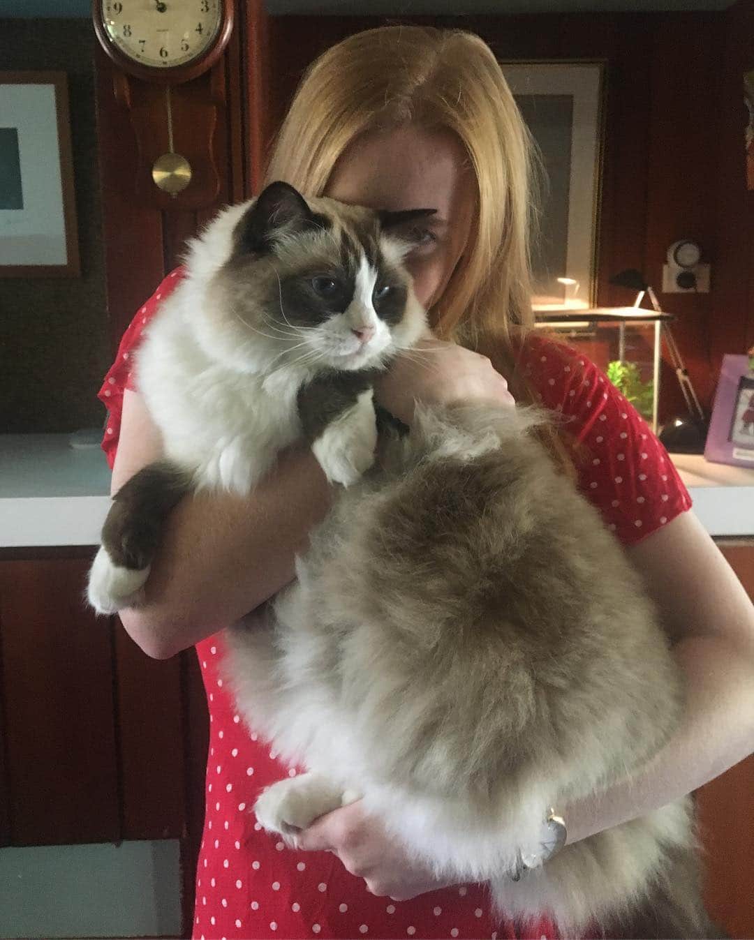 ケイティ・パスフィールドのインスタグラム：「Happy Easter ~ sincerely a chunky boi who truly loves me  #hegotlotsofpatsandtreatsdw #heisloved」