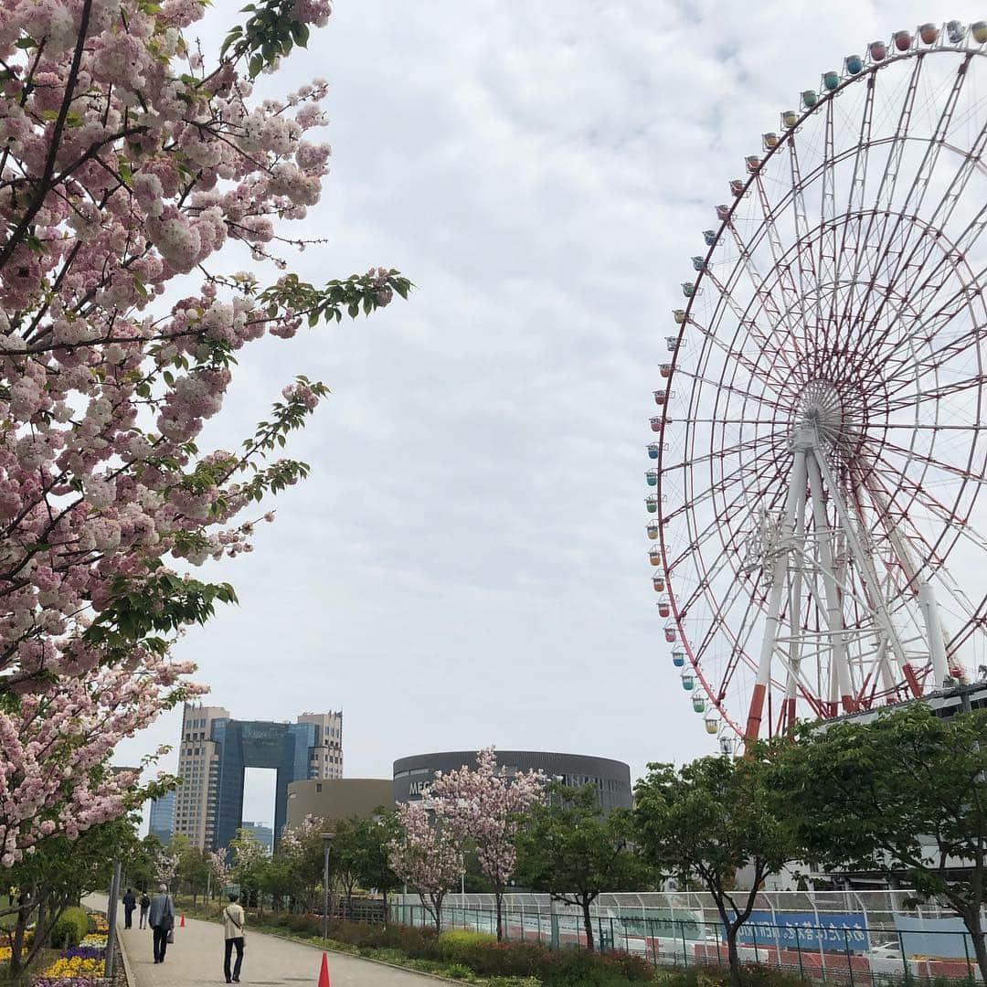 沖玲奈さんのインスタグラム写真 - (沖玲奈Instagram)「週末ラン20km🏃‍♀️✨一旦目標の40秒切りが出来て良かった👏 せっかくならハーフ分であと1km走っても良かったけどキリの良いところで。。🤣✨w 写真は先日のsushi＋さんのイベントのものと最近のを雑多にw😋 #出張寿司 #sushiplus #週末ラン #running #フルマラソン 久々に#原宿餃子楼 も行った🐷🥟」4月21日 15時06分 - reinaoki2508