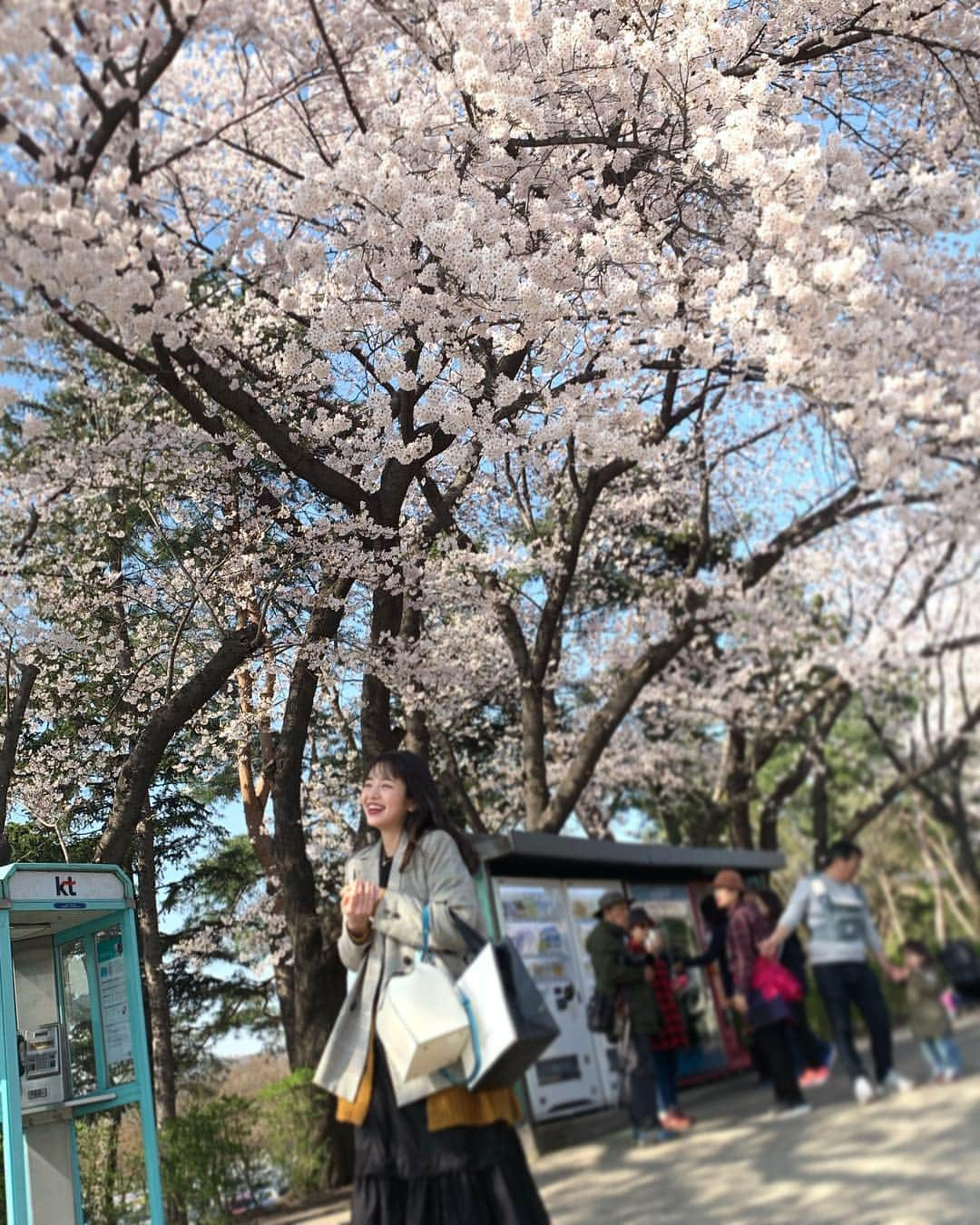 横田真悠さんのインスタグラム写真 - (横田真悠Instagram)「☺︎☺︎☺︎ 🌸🌸🌸」4月21日 15時57分 - yokota_mayuu