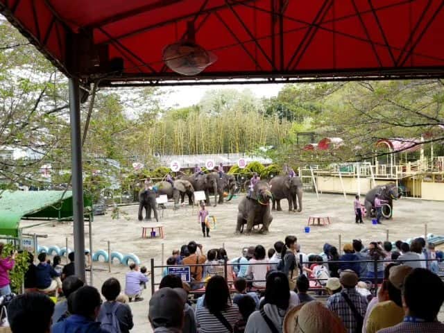 宇月田麻裕のグルメインスタ