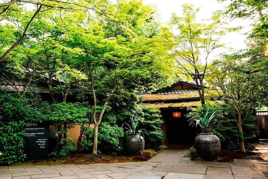 THE SODOH OFFICIALさんのインスタグラム写真 - (THE SODOH OFFICIALInstagram)「日増しに暖かくなってまいりましたね。 SODOHのお庭も緑が美しい季節です。  Please enjoy the Japanese beauty.  #thesodohigashiyamakyoto#thesodoh  #kyotorestaurant#kyotofood #kyototrip#japantrip #kyoto＃kyotodinner#kyotolunch #東山＃八坂の塔#anniversarydinner」4月21日 16時39分 - kyoto_thesodoh