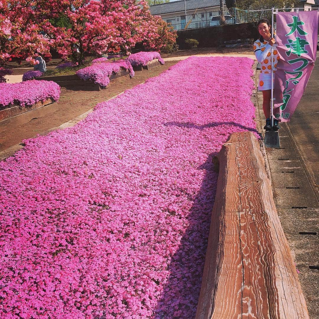 藤本麻子さんのインスタグラム写真 - (藤本麻子Instagram)「芝桜とつつじと私❤️ . . . 試合の帰りだったので ゴルフウェアなのは、お許しくださいw」4月21日 16時56分 - aako528