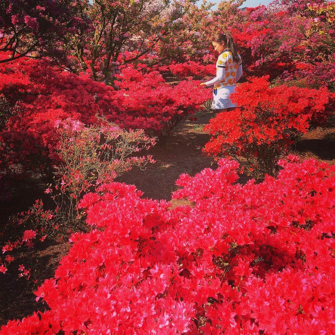 藤本麻子さんのインスタグラム写真 - (藤本麻子Instagram)「芝桜とつつじと私❤️ . . . 試合の帰りだったので ゴルフウェアなのは、お許しくださいw」4月21日 16時56分 - aako528