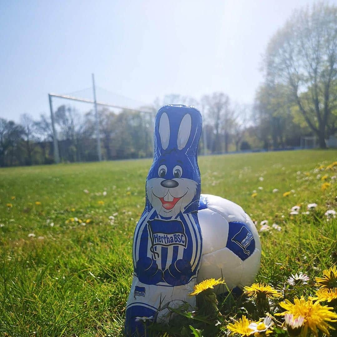 ヘルタ・ベルリンさんのインスタグラム写真 - (ヘルタ・ベルリンInstagram)「Kleiner Gruß vom Schenckendorffplatz: Wir wünschen euch ein frohes Osterfest, Herthaner! 🐰🐣 #ostern #osterfest #happyeaster #heimspiel #bundesliga #blauweiss #bsch96 #hahohe #herthabsc」4月21日 17時05分 - herthabsc