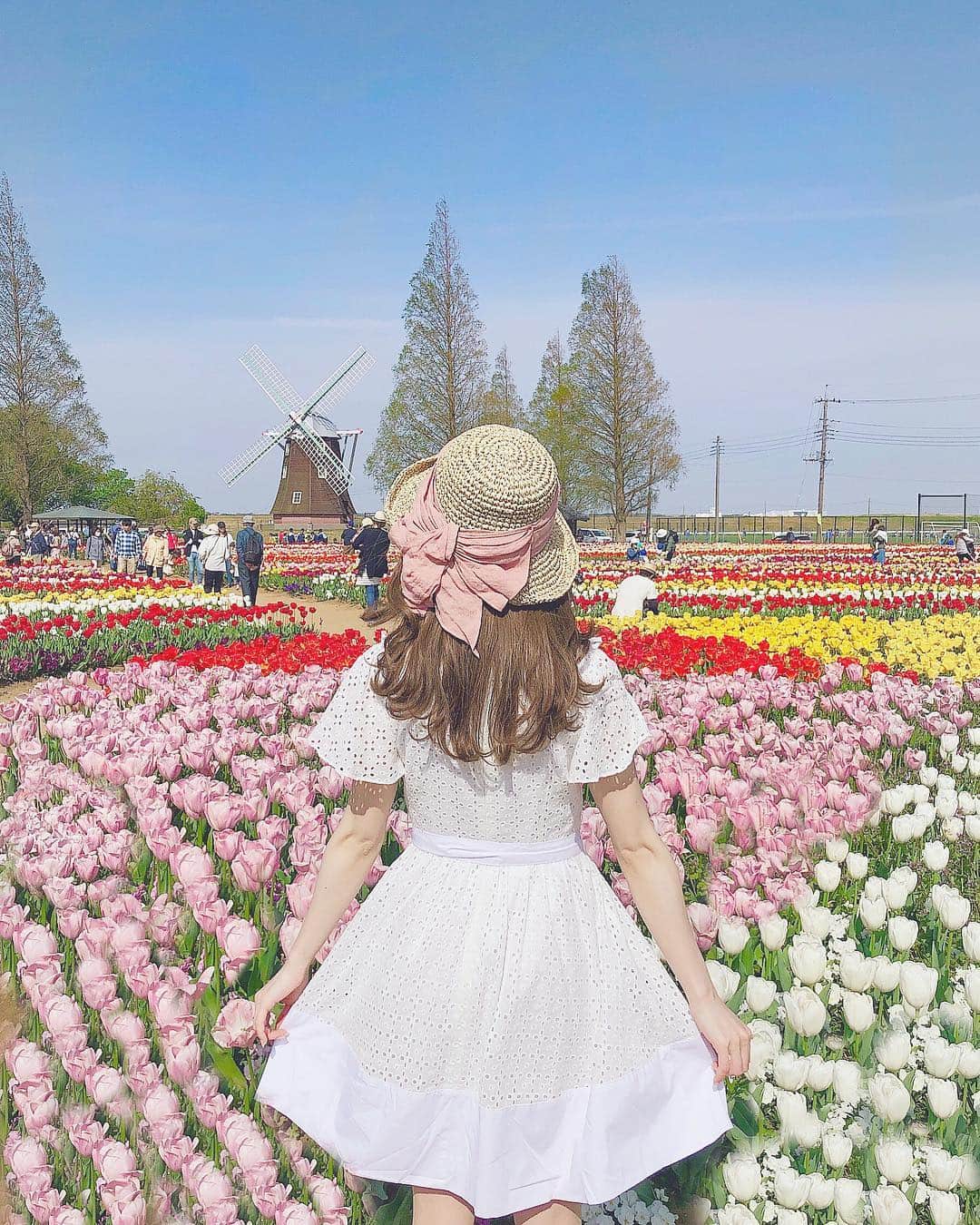 Isakoさんのインスタグラム写真 - (IsakoInstagram)「. お花畑 🌷🌷 . チューリップがとっても可愛かった💕 . お気に入りの新作ワンピースと @rasmile_official 👗(5月発売) 帽子をかぶってお出かけしました💕 帽子は @ca4la_official 👒です . . 日本じゃないみたいに綺麗な この公園はあけぼの山農業公園🌷 千葉県柏市だよ💕 . いいお天気で、空気が綺麗で とってもリフレッシュできました🥰 . . . . #お花畑#おでかけ#チューリップ#チューリップ畑#千葉#tulip#tulips#tulips🌷#風車#オランダ#genic_japan#japantravel#japantrip#amazing_shots#travelblogger#amazingviews#ca4la#Rasmile」4月21日 17時10分 - ichaaako