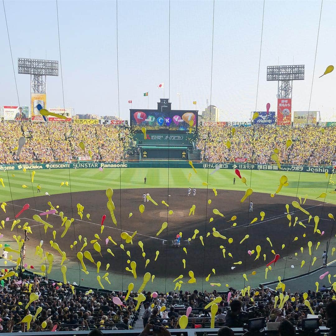 本野大輔のインスタグラム：「阪神VS巨人の伝統の一戦の取材で甲子園です。 この週末、阪神は巨人に３連敗。 今日も4万6000人の観衆が詰めかけ満員御礼でしたが阪神ファンにとっては辛い結果。 ラッキー７のジェット風船は圧巻でしたが、、、 明日の朝の情報番組『すまたん』で、MCの森さんのテンションが心配です😂 また来週から仕切り直しです！  #甲子園球場 #甲子園 #阪神 #阪神タイガース #タイガース #巨人 #伝統の一戦 #大入袋 #すまたん」