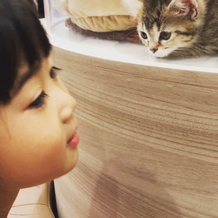 ジョー のグルメインスタ