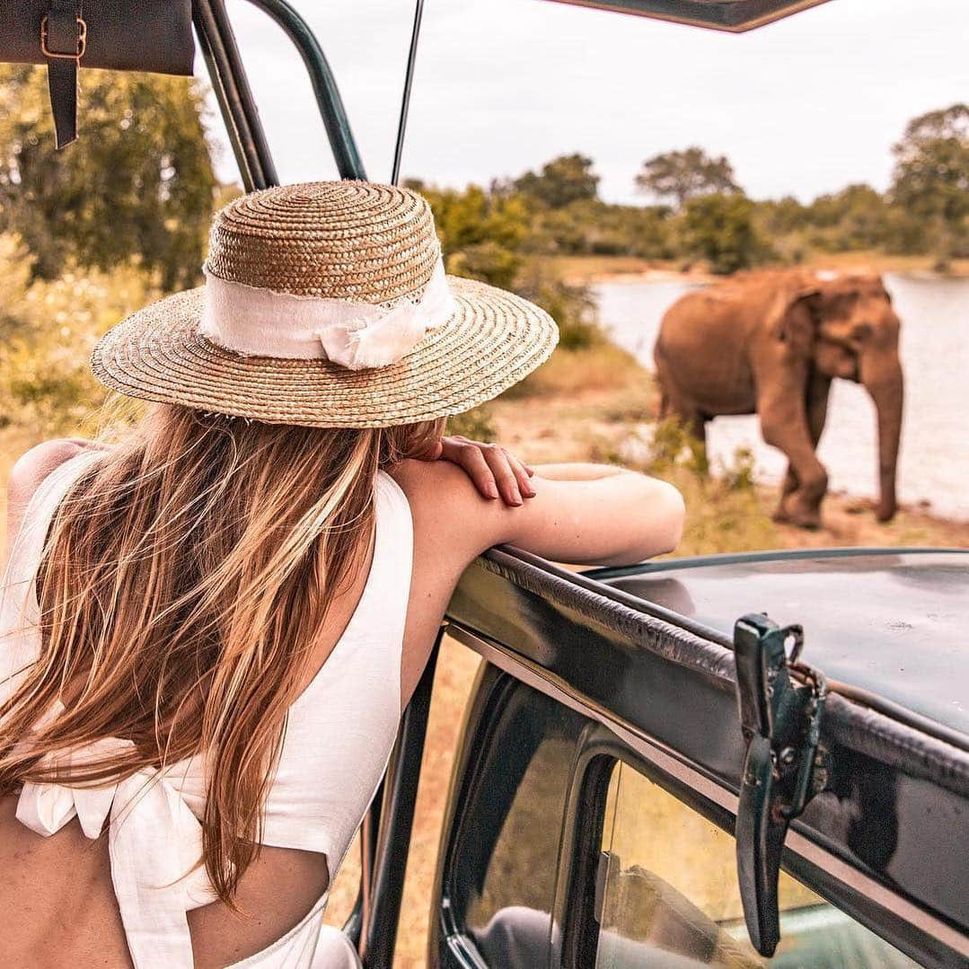 PAUL HEWITTさんのインスタグラム写真 - (PAUL HEWITTInstagram)「Jobs fill your pocket, adventures fill your soul. 🌏🐘⚓️ (photo @topolindra) #getAnchored #paulhewitt __ #elephant #animals #wildlife #journey #freedom #soul #travelsoul #instatravel #safari #wildanimals #lifegoals #lifestyle」4月22日 3時54分 - paul_hewitt