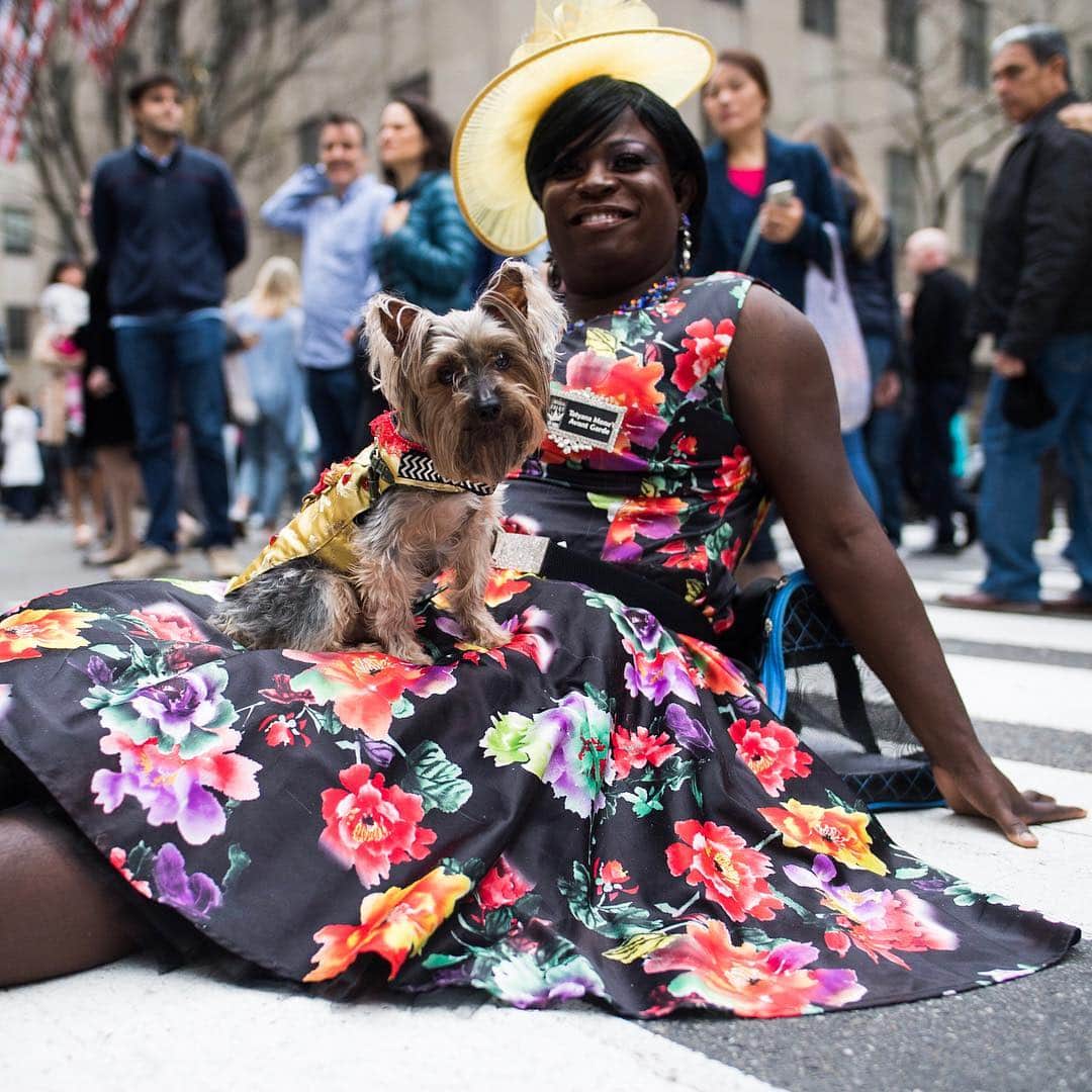 The Dogistさんのインスタグラム写真 - (The DogistInstagram)「Harley & Cruz, Thor, Fendi, Diamond, Lexie, & Georgia - French Bulldogs, Pomeranians, & Yorkshire Terriers, NYC Easter Parade, New York, NY • Happy Easter! 🐰💐」4月22日 4時21分 - thedogist