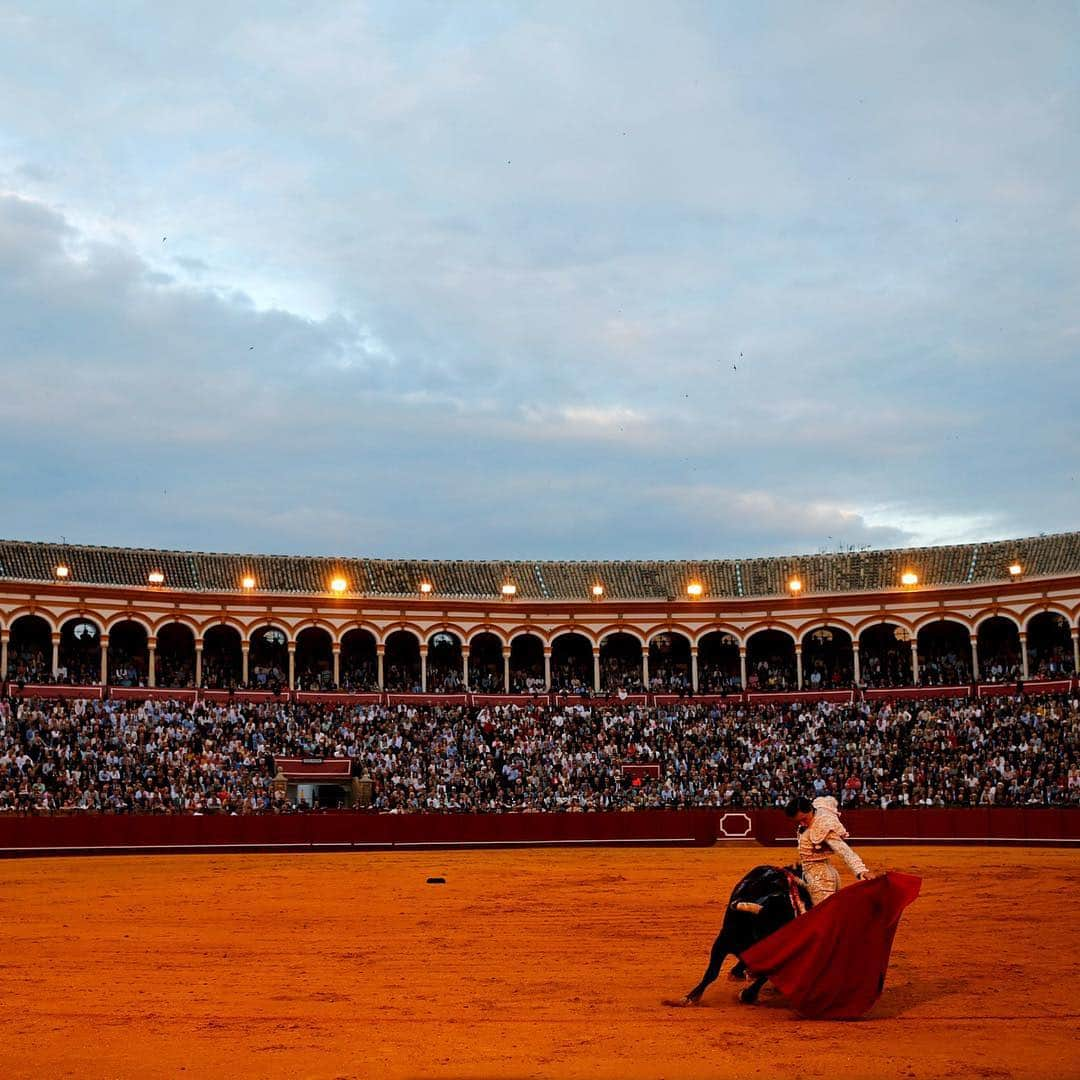 NBC Newsさんのインスタグラム写真 - (NBC NewsInstagram)「Peruvian #matador Roca Rey performs a pass to a bull during a #bullfight at The Maestranza bullring in the Andalusian capital of #Seville, #Spain. . 📷 Marcelo del Pozo / @reuters」4月22日 5時10分 - nbcnews