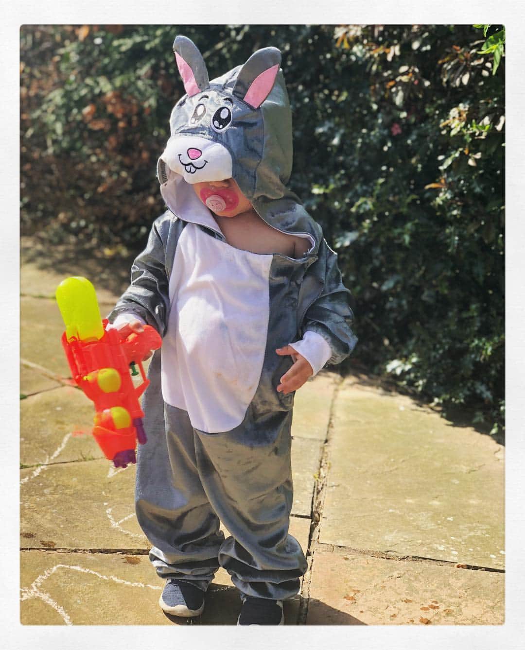 ヘレン・スケルトンさんのインスタグラム写真 - (ヘレン・スケルトンInstagram)「You’re welcome. #easter #easterbunny #imadehim」4月21日 20時24分 - helenskelton
